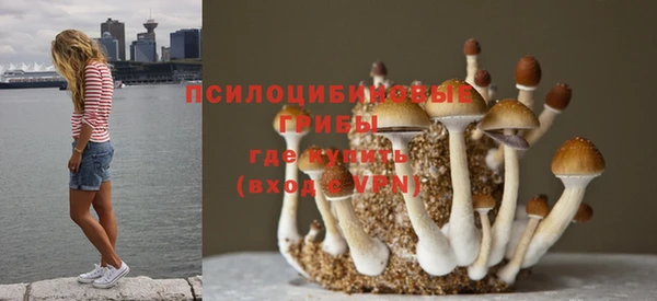 spice Михайловка