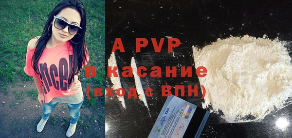 сатива Михайлов
