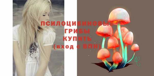 сатива Михайлов