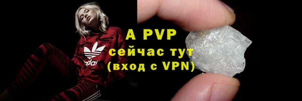 сатива Михайлов