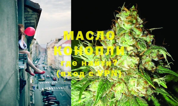 сатива Михайлов