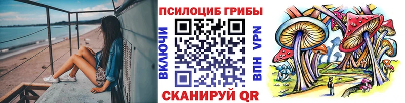 Псилоцибиновые грибы Psilocybe  сколько стоит  Ак-Довурак 